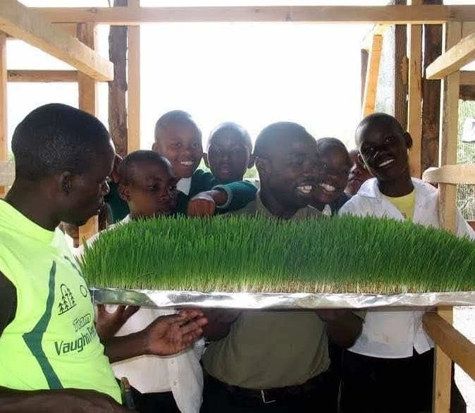 Jóvenes que tienen brotes en Boys Town Africa